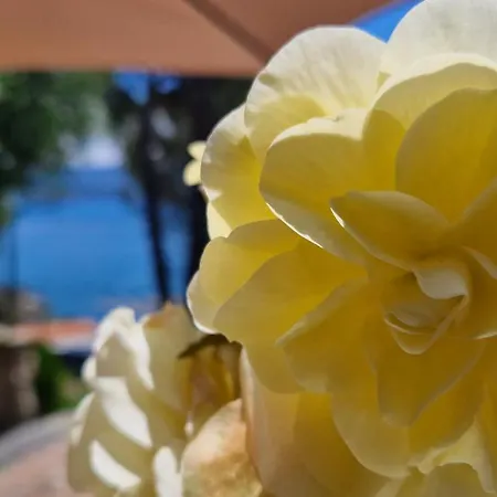 Villamara Luxury Pensión