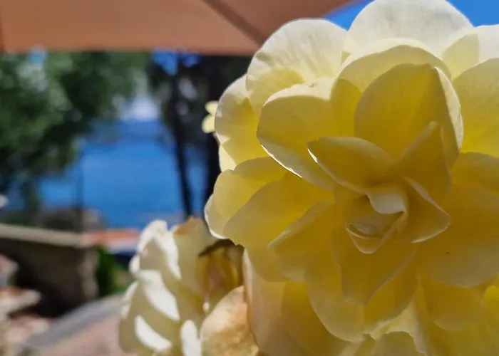 Villamara Luxury Pensjonat